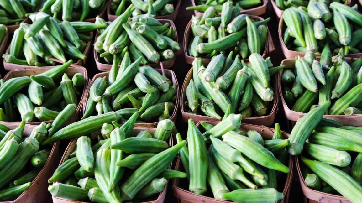 Nutritional And Pharmacological Benefits Of Eating Okra