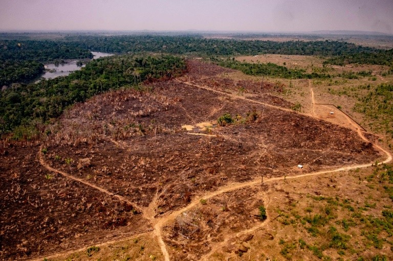 A handout picture released by the Communication Department of the State of Mato Grosso shows deforestation in the Amazon basin in the municipality of Colniza, Mato Grosso state, Brazil, on August 29, 2019