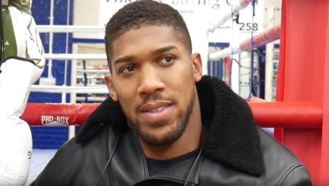 Anthony Joshua: backs Tyson Fury over Deontay Wilder in the 22 February rematch