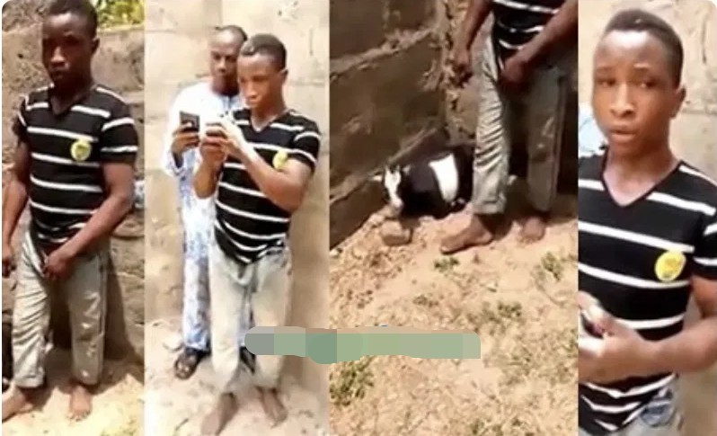 Man, 24, Who Killed Goat With Sex Paraded By Police