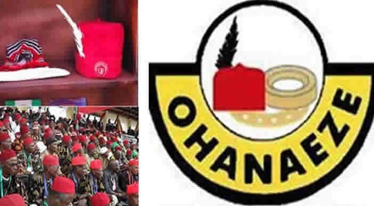 Ohanaeze Tasks Govt On Provision Of Stimulus Packages