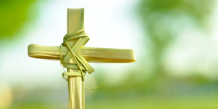 Churches Witness Low Turnout For Palm Sunday Service
