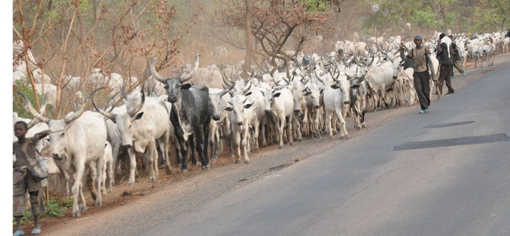 Herdsmen Ordered To Leave Edo Community Within 14 Days