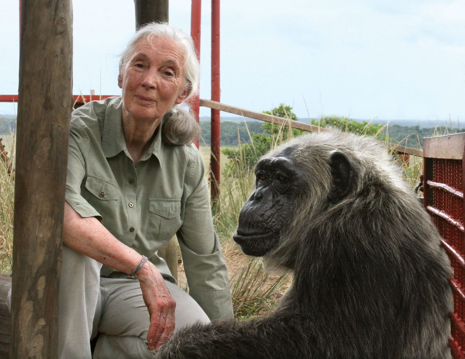 Jane Goodall - Disrespect Of Animals Caused Coronavirus
