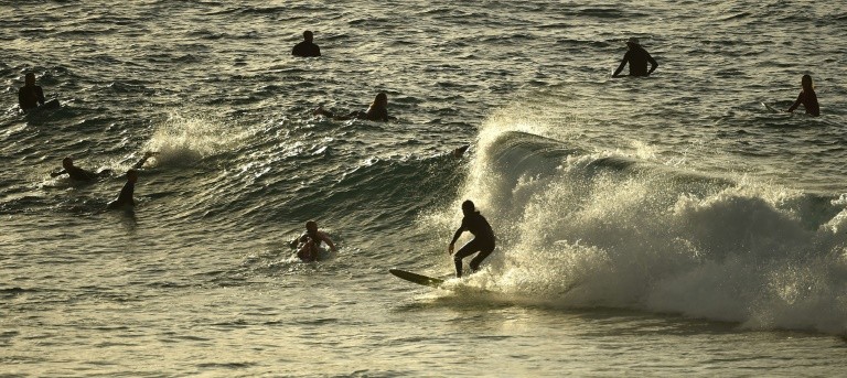 Sydney Surf's Up - Sydney Reopens It's Famous Bondi Beach