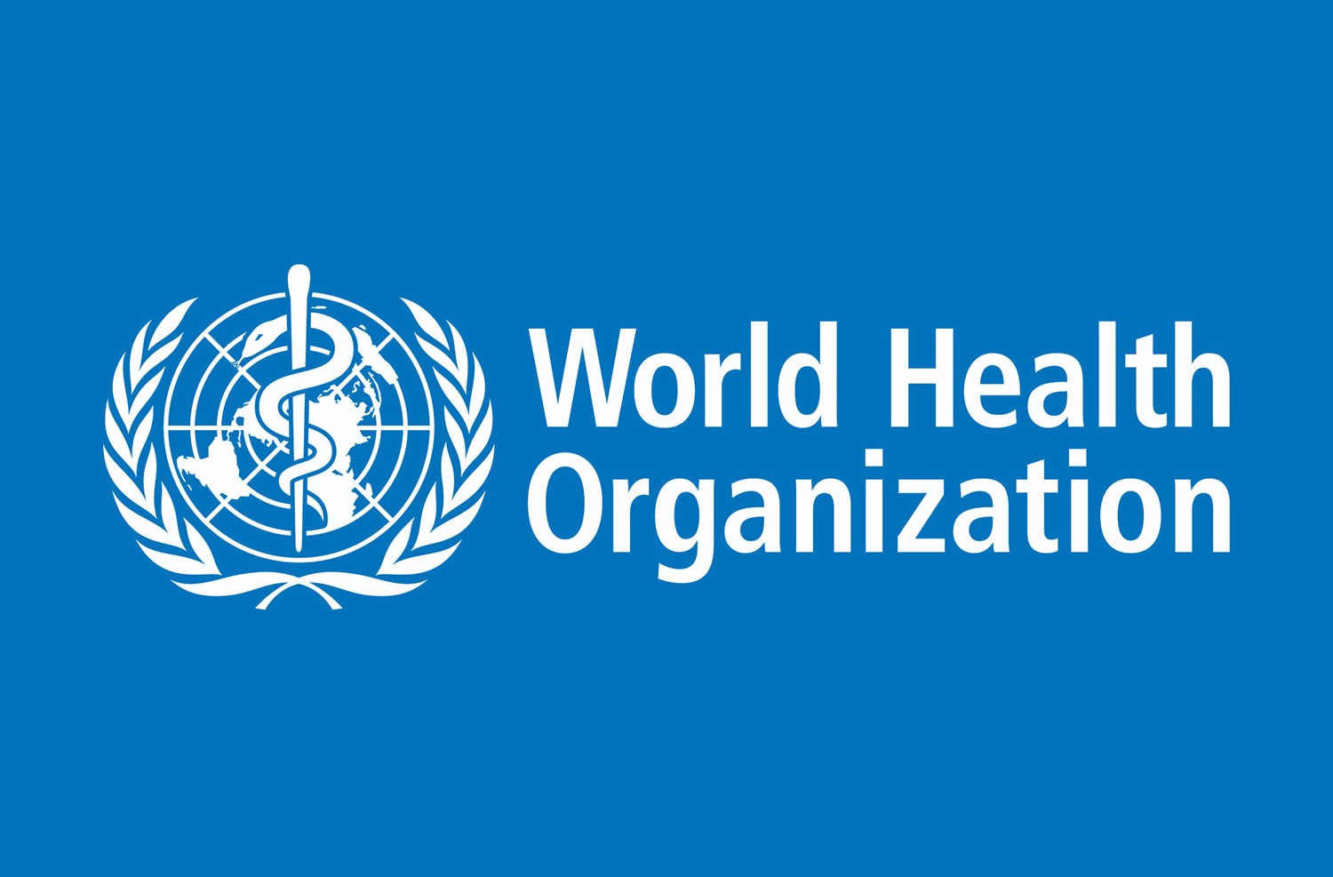 WHO Commends Nigerian Health Workers