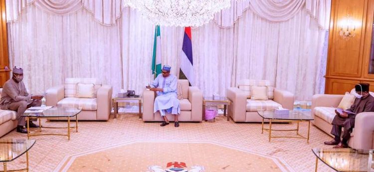 Details Of Buhari’s Meeting With Presidential Task Force