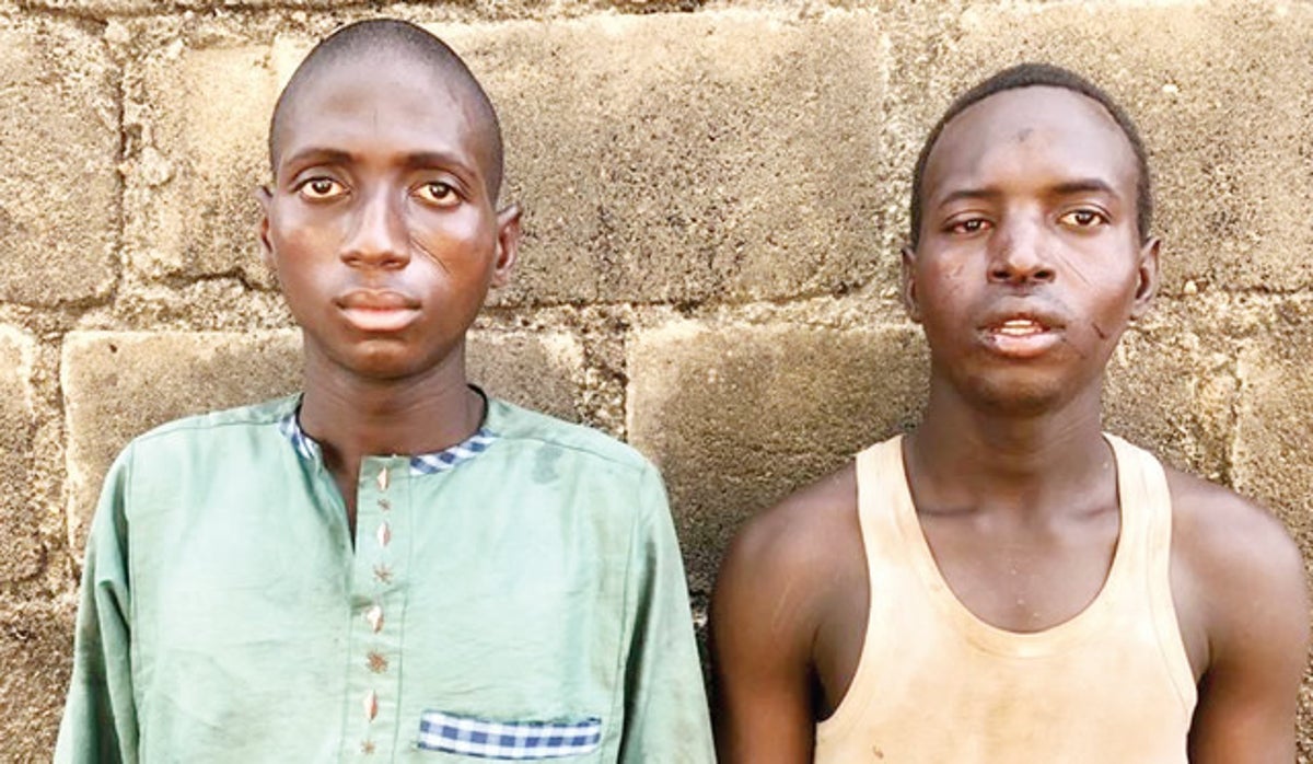 I Killed My Brother Because He Was Dad’s Favourite – Ibrahim