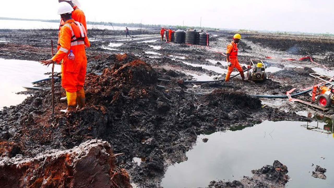 Ogoni Pollution - Cleanup Finally Begin