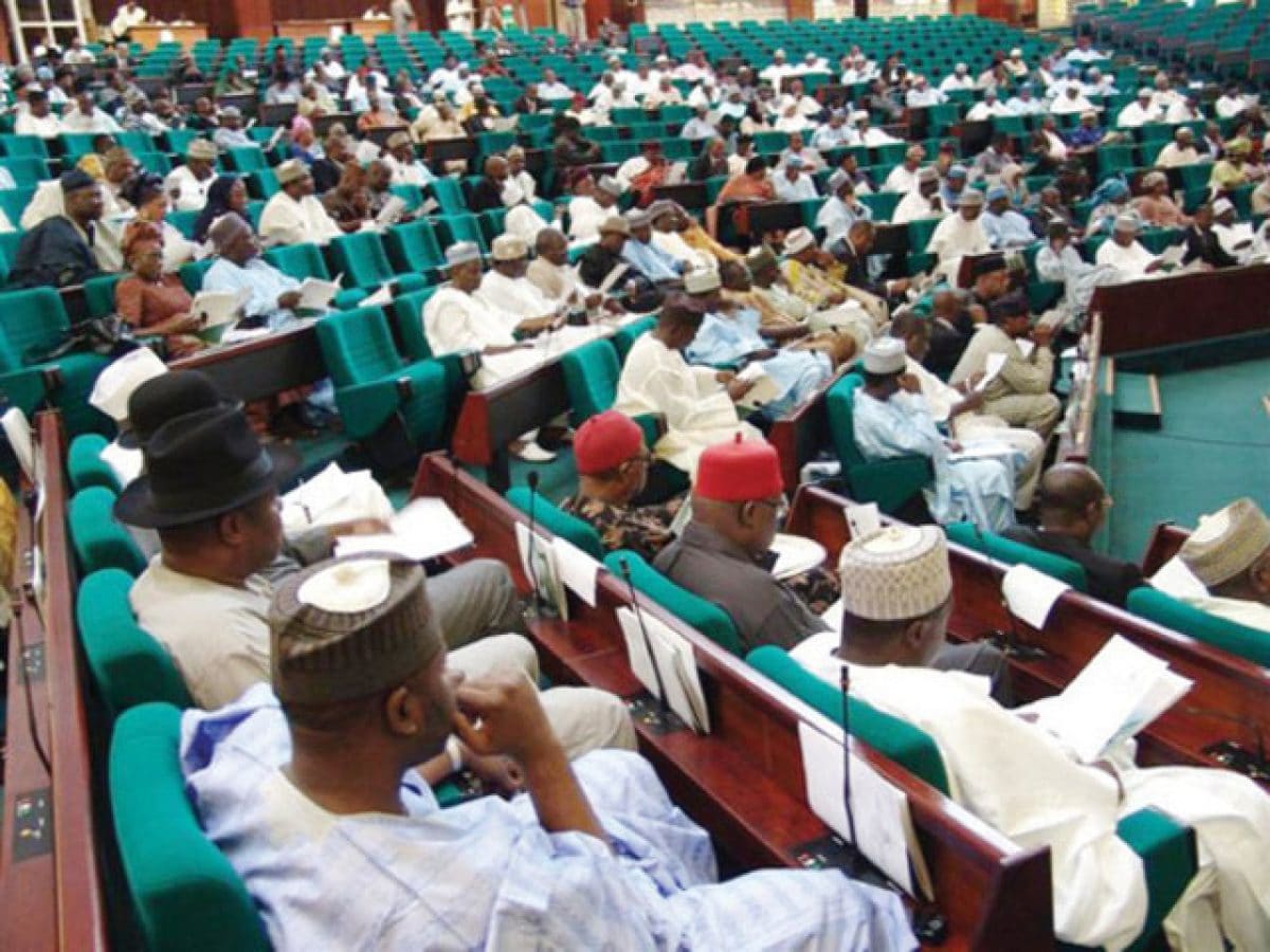 Reps Ask FG To Open One Airport Per Geopolitical Zone