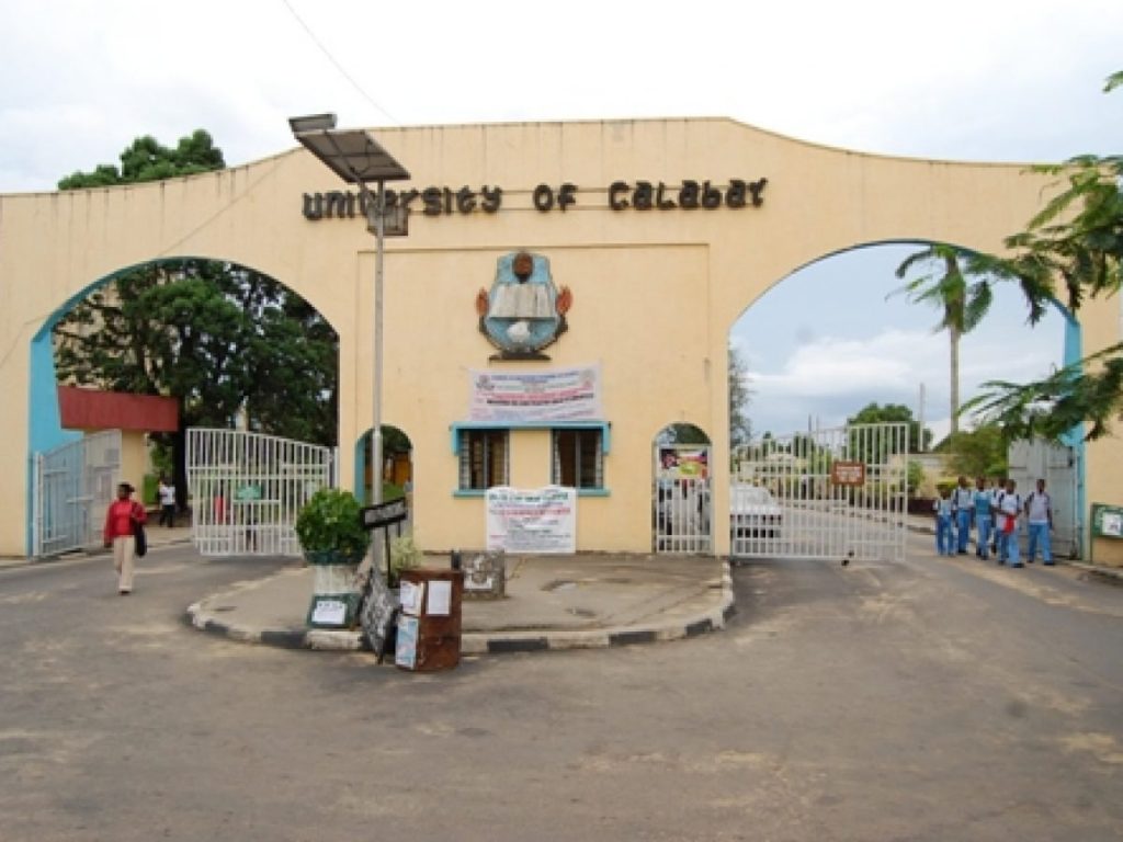 Unical - 9 professors jostle for Vice Chancellor of university