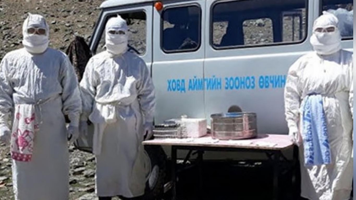 Bubonic Plague Outbreak In Mongolia, Borders Closed
