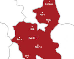 Fulani Group Demands 4% Of Bauchi Land To End Clashes