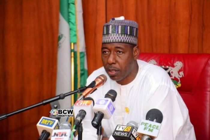 Gov Zulum saddened by execution of aid workers