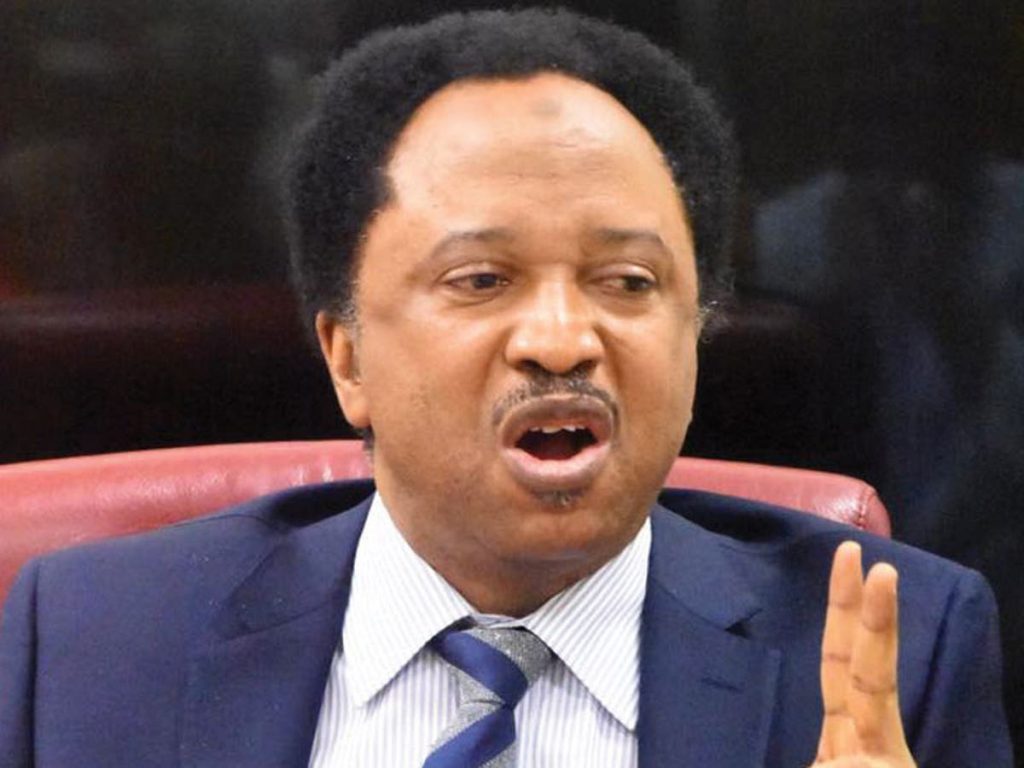 Stop Issuing Warning To Bandits In English – Sani To Buhari