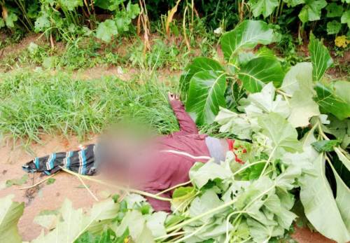 Fulani Herdsmen Attack Kaduna Community, Many Killed