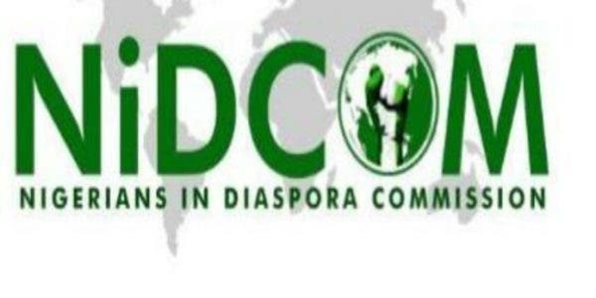 Southern Kaduna Killings - Nigerians In Diaspora Petition UN