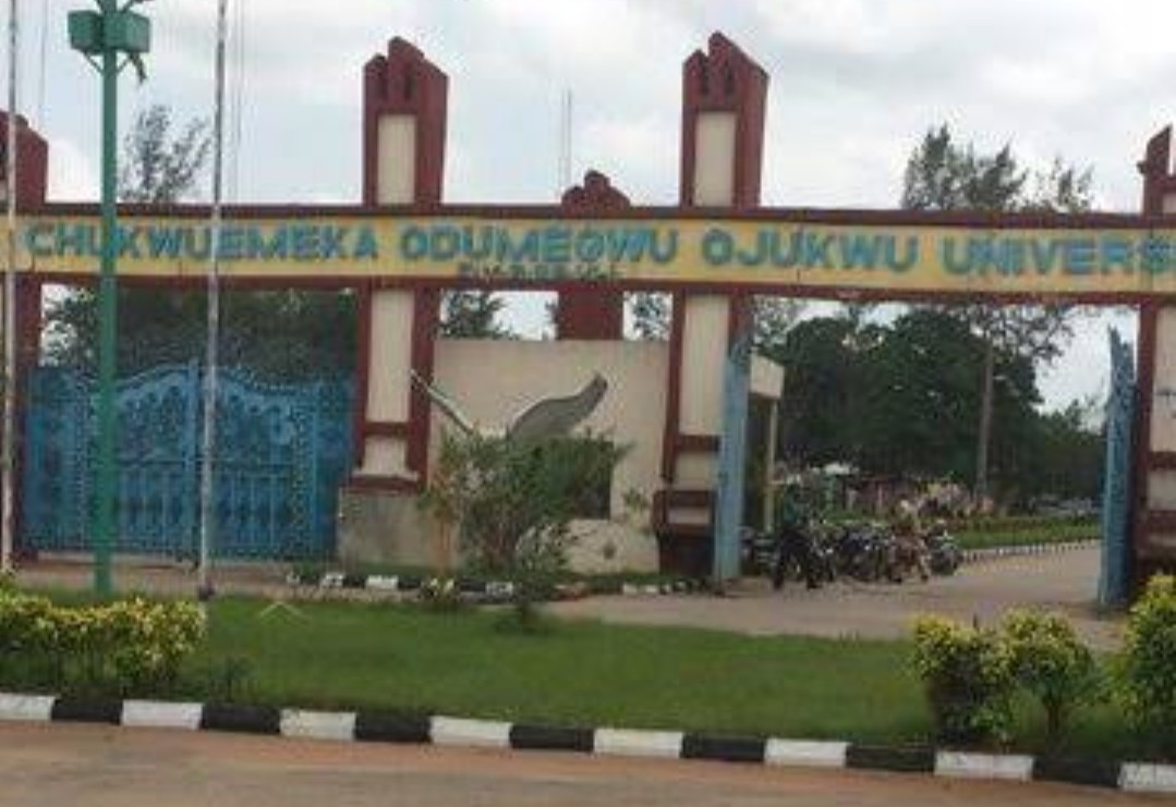 Chukwuemeka Odumegwu Ojukwu University (COOU)