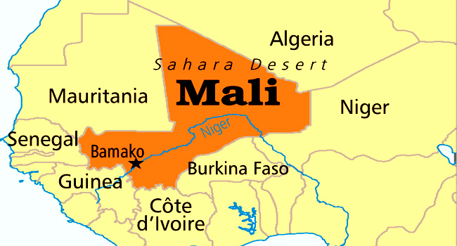 Ex-Defence Minister Appointed Mali’s Transition Leader