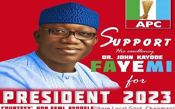 LG Chair accused of printing ‘Fayemi 2023 posters’ reinstated (1)