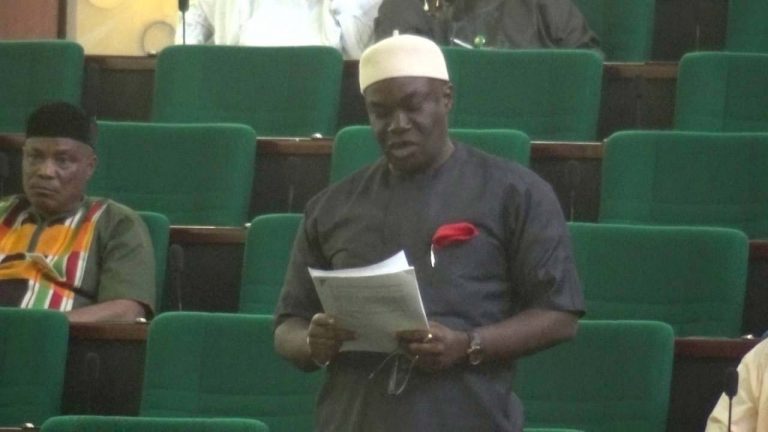Sen Onyewuchi Decries Inclusion Of Foreign Loans In Budget