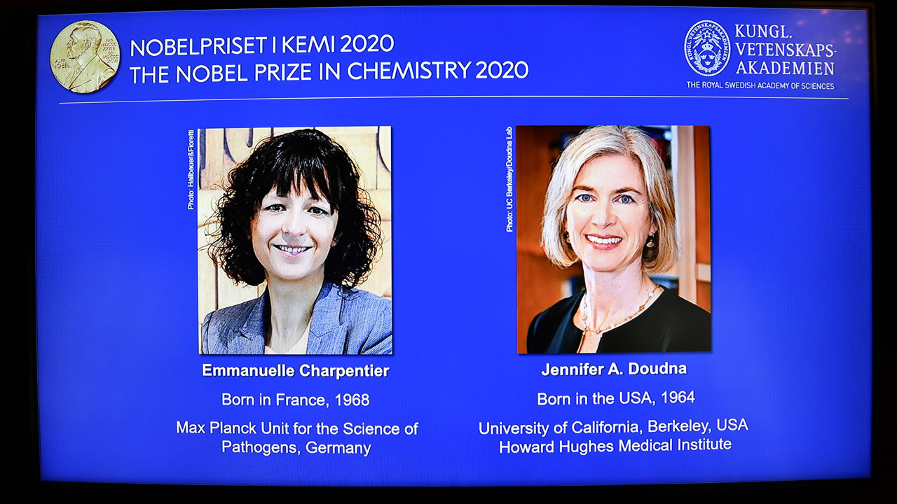 US-French duo win Nobel Chemistry Prize for gene editing tool