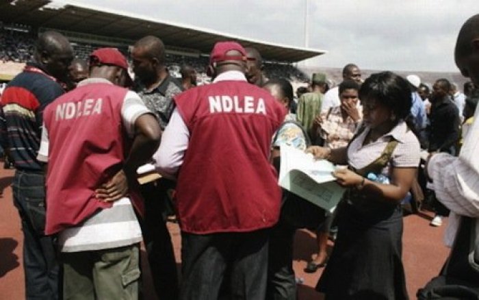 Recruitment: NDLEA Issues Directive To Successful Candidates