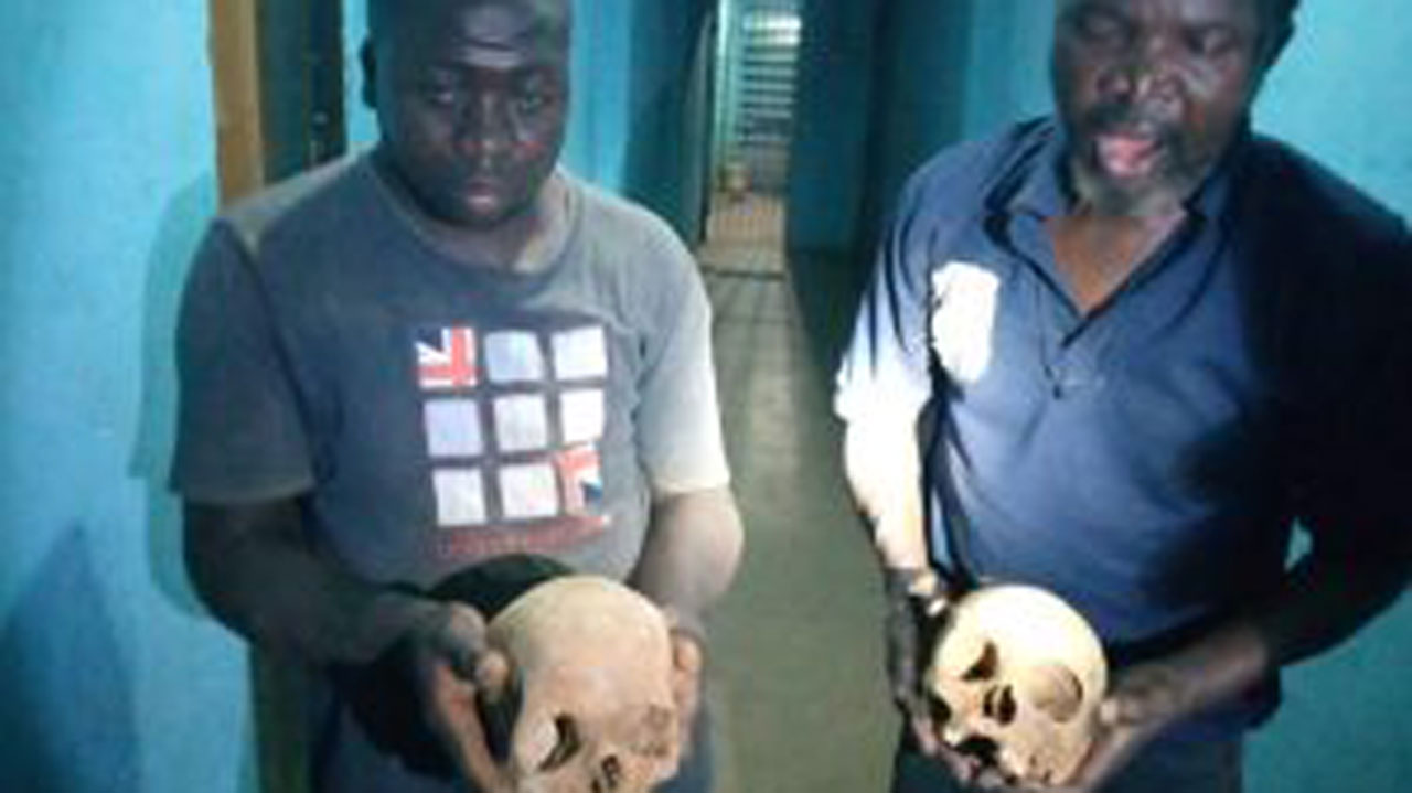 2 Suspected Ritualists Arrested With Human Skulls In Kaduna