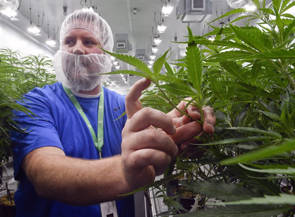New York State Legalizes Recreational Marijuana