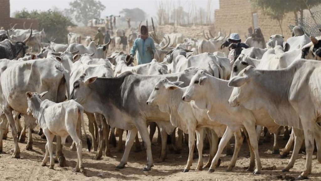 36 Killed As Herdsmen Invade Benue Community