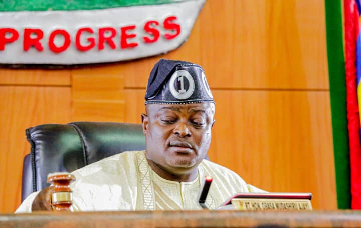 Lagos Assembly To Criminalize Illegal Trading of Human Organs
