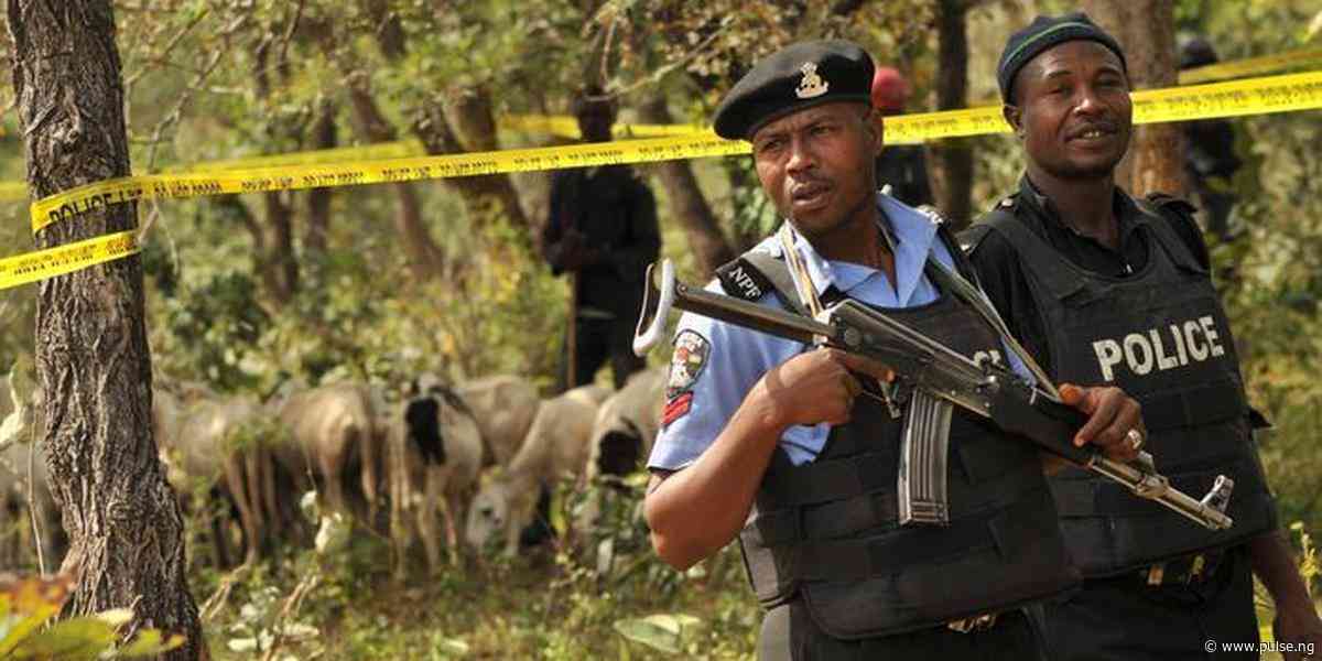 Police Engage Bandits In Gun-Battle In Benue, Kill 14