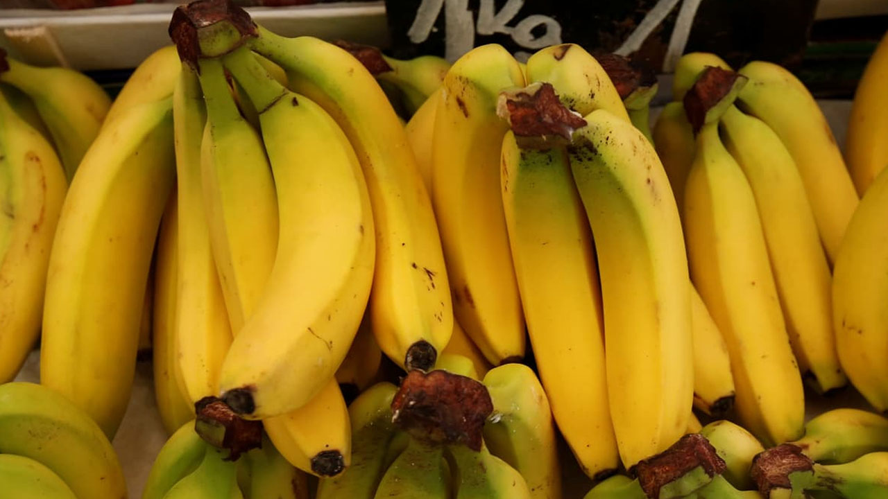 Shock As Cocaine Is Discovered In Poland Banana Shipment
