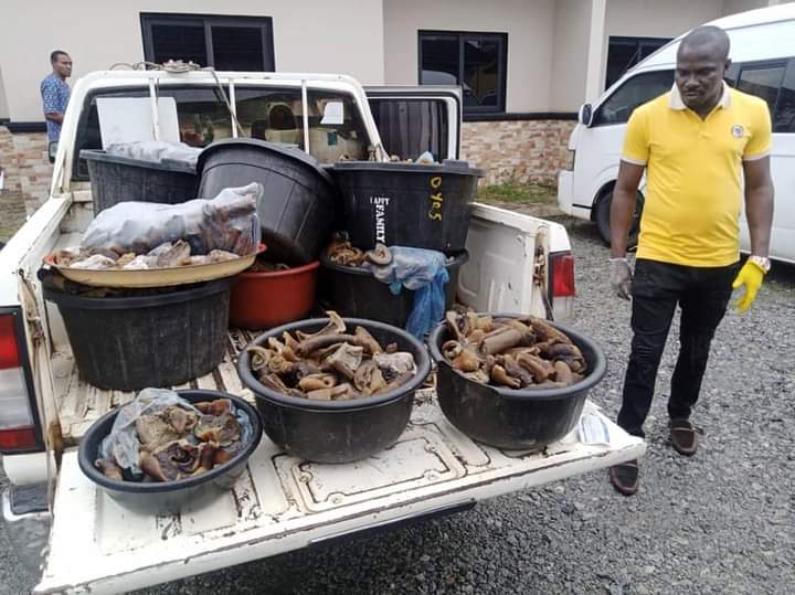 4 Arrested For Selling Donkey Meat In Edo