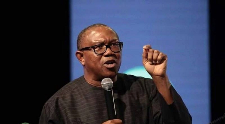Invest In Education, Peter Obi Urge Governments