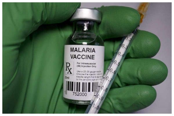 WHO Endorses First Malaria Vaccine