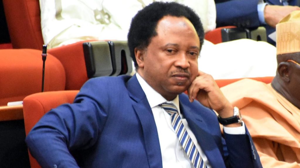 More People Have Been Killed In Kaduna Than Yemen –Shehu Sani