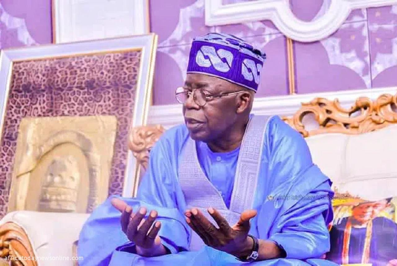 Why Buhari Will Hand Over Power To Me In 2023 – Tinubu