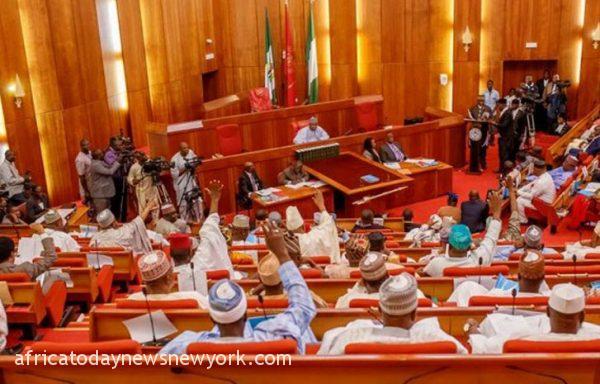 Nigerian Senate Calls For Speedy Trial Of Crude Oil Thieves