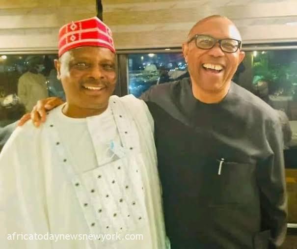 Peter Obi Could Have Been My Vice President But..– Kwankwaso