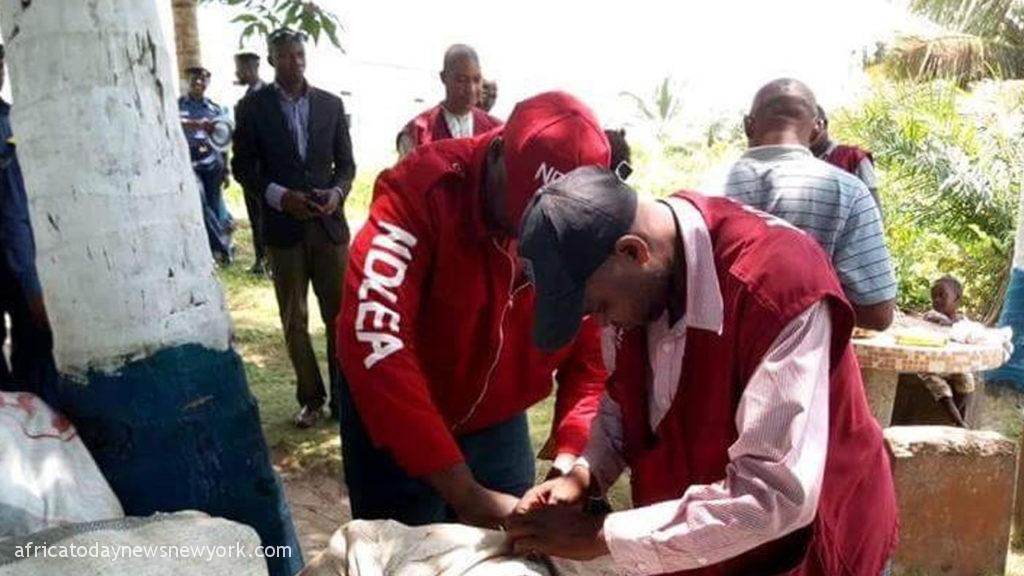 Over 29m Nigerians Abuse Drugs, NDLEA Claims