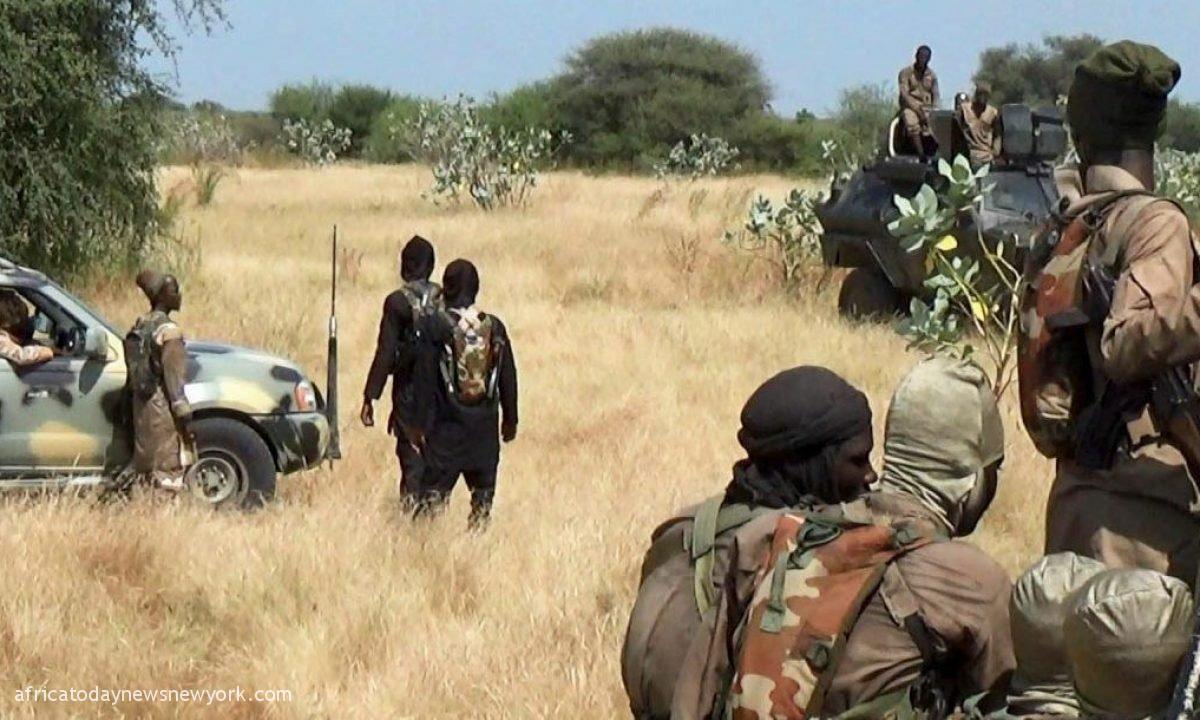 ]Borno: ISWAP Abducts Policeman, 7 CJTF, Hunters