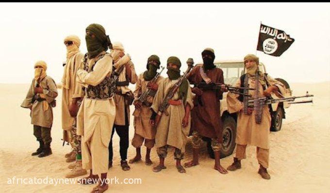 Suspected ISWAP Terrorists Murder Two Commuters In Borno