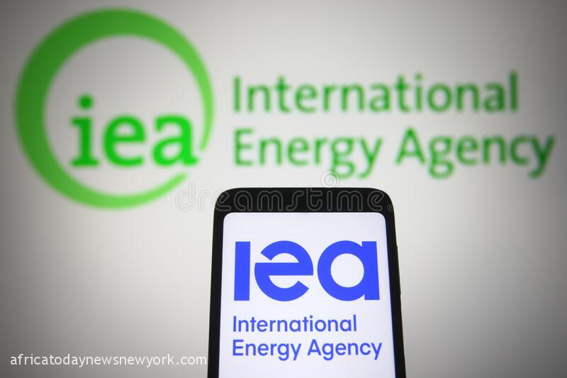 IEA Declares That Africa Needs $25bn For Full Electricity Access