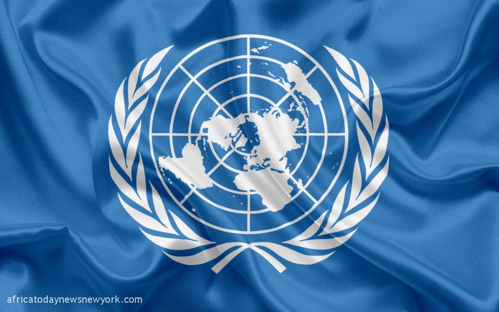 1.74m Children In North East At Risk Of Malnutrition – UN