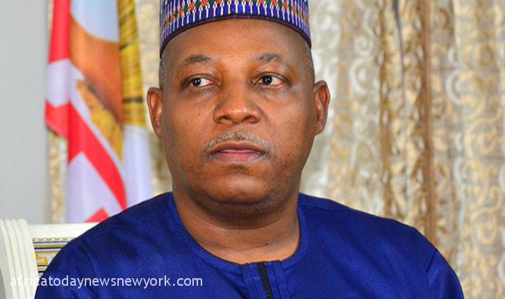 Shettima To Be Unveiled As VP Candidate On Wednesday
