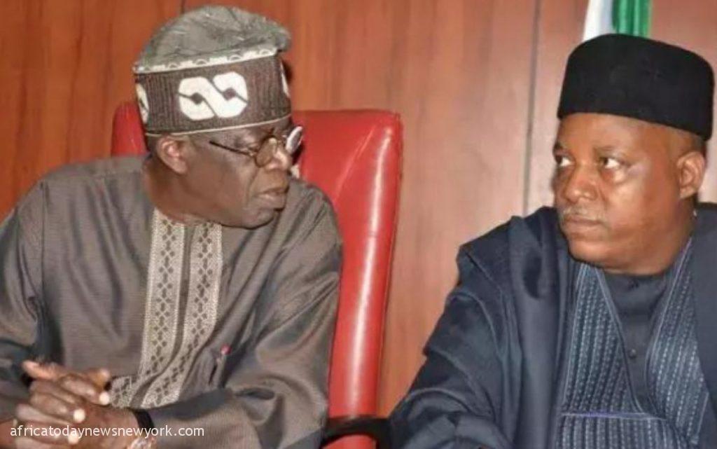 Real Reason Why I Picked Shettima As My Running Mate — Tinubu