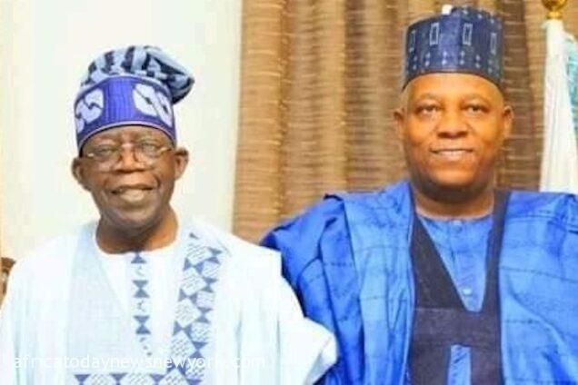 Real Reason Why Tinubu Chose Shettima – Campaign Spokesman