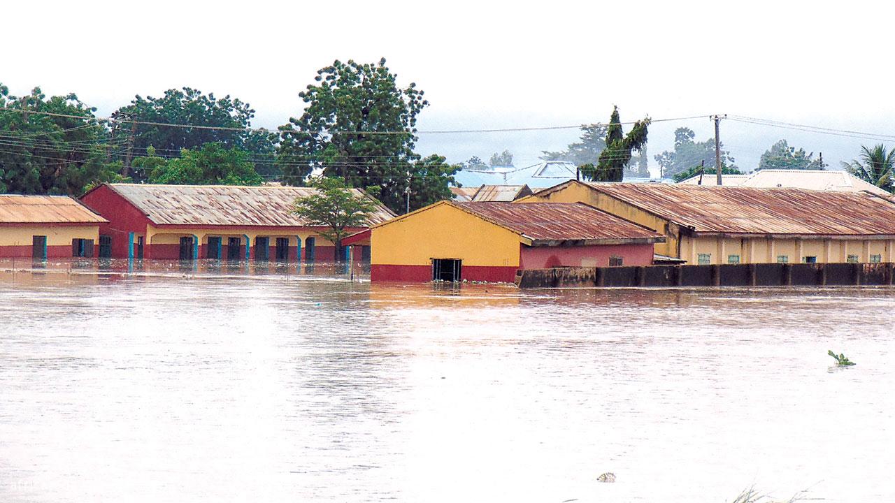 Devastating Flood Wreaks Havoc On Adamawa Community