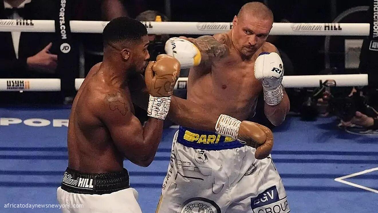 Joshua Vs Usyk: Rematch Prize Money Revealed For Boxers